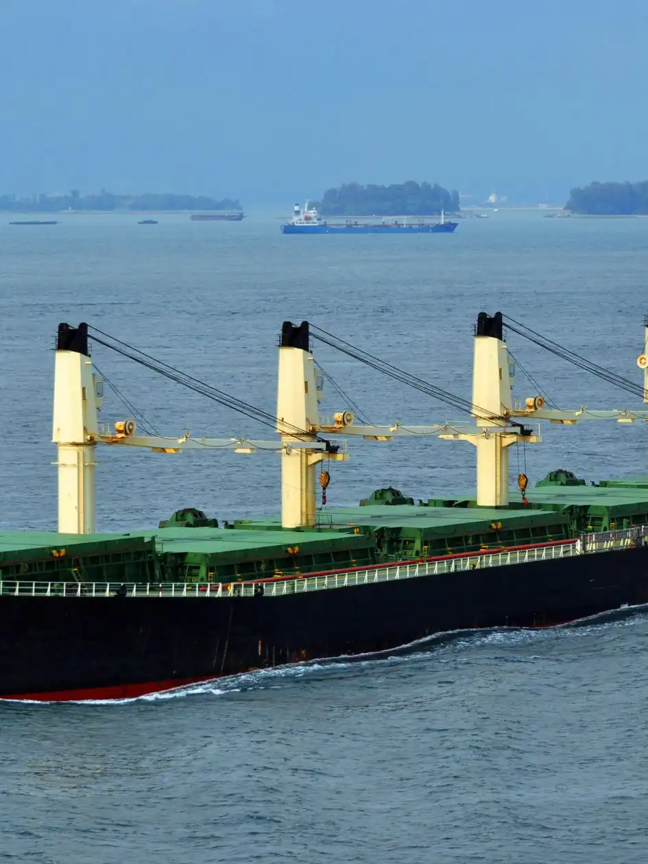 Black-and-red bulk carrier with green hatch covers and four deck cranes, underway off a coastline