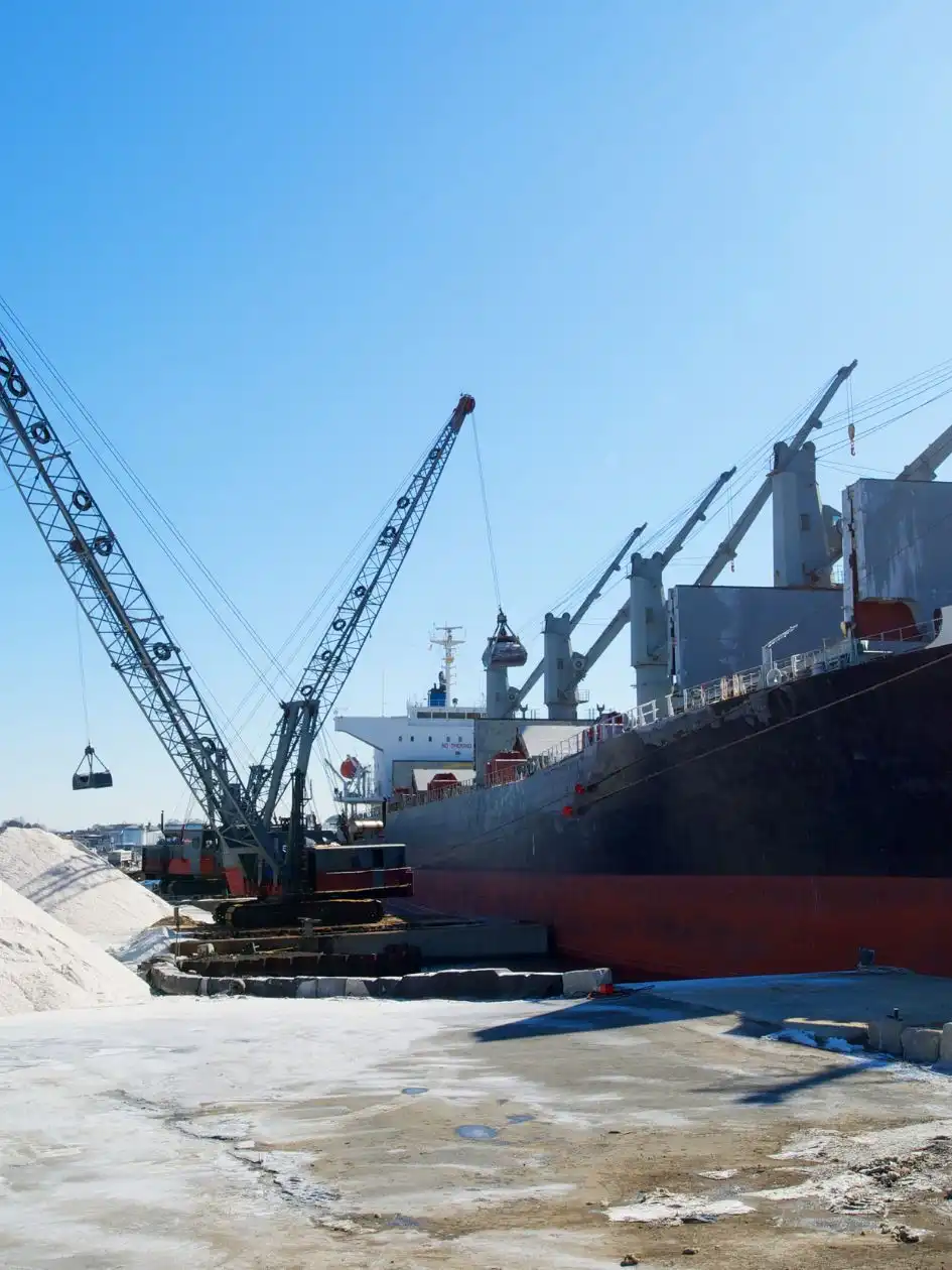 Cranes transferring a light-coloured bulk material between ship and dock