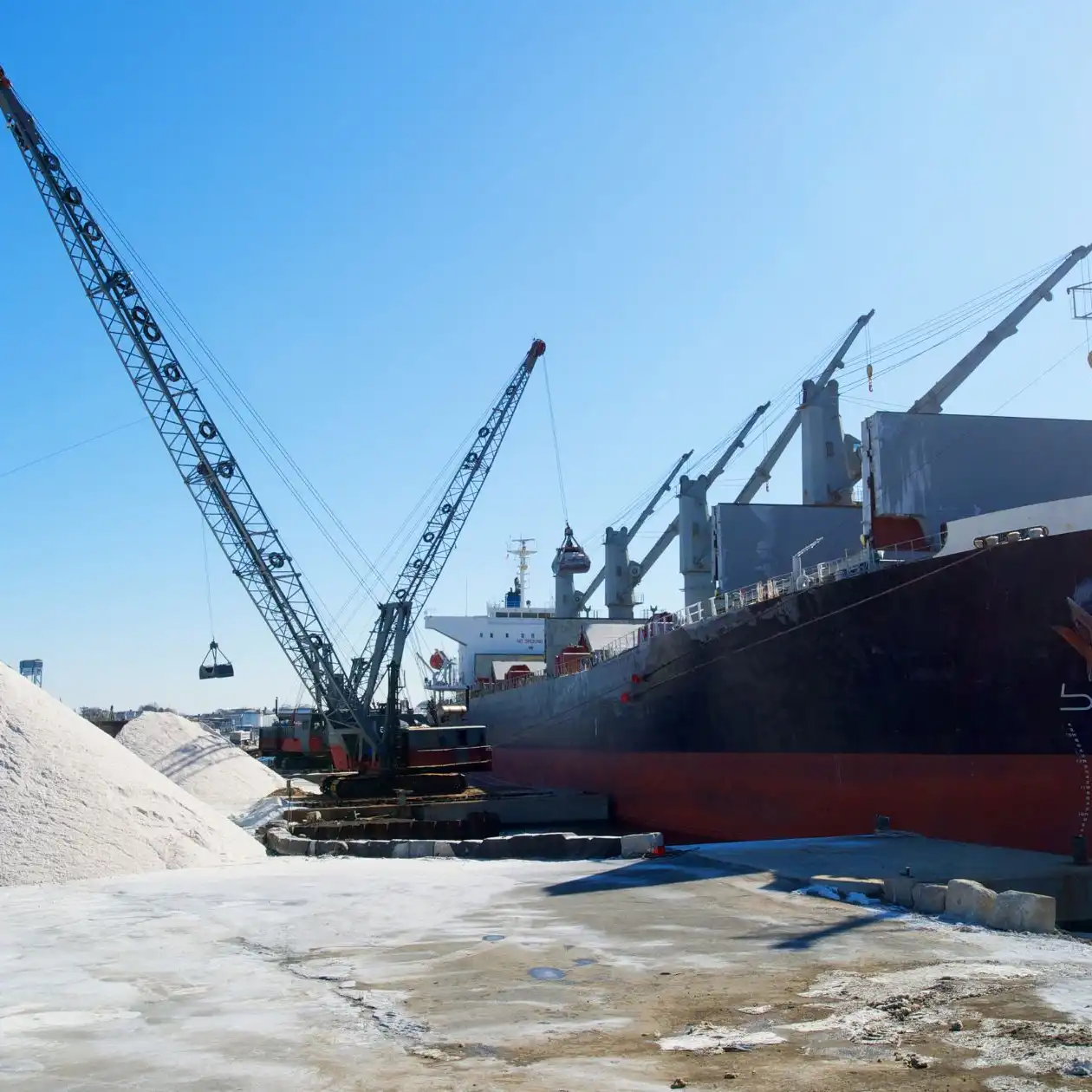Cranes transferring a light-coloured bulk material between ship and dock
